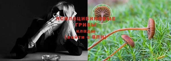 ешки Бородино