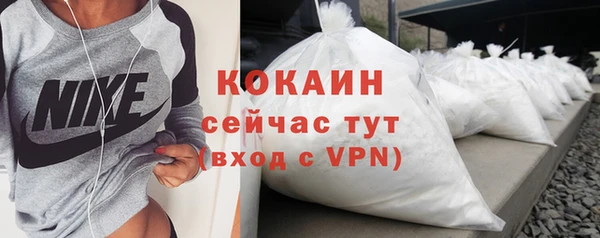 ешки Бородино