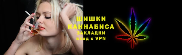 ешки Бородино