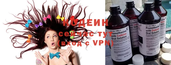 ешки Бородино